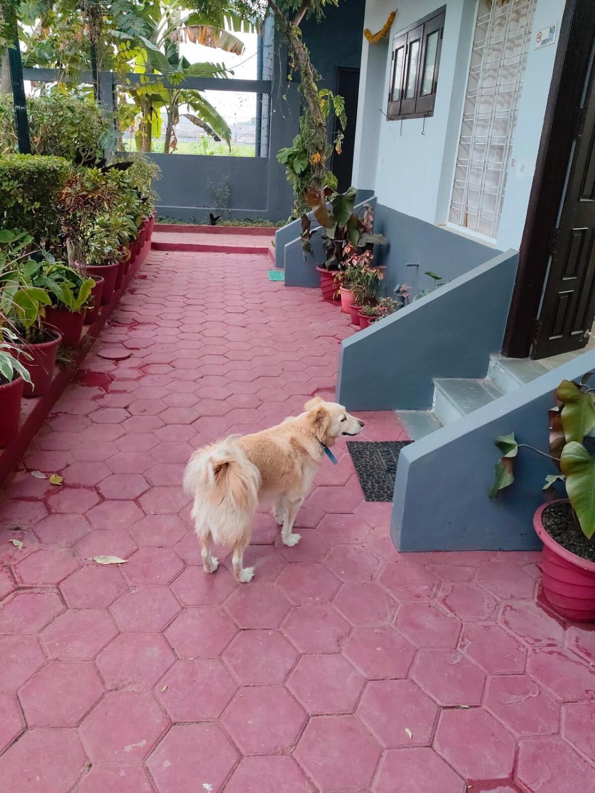 Holiday home Kanadia Farm- A Perfect Retreat