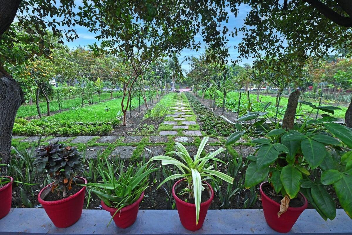 Kanadia Farm- A Perfect Retreat Holiday home *